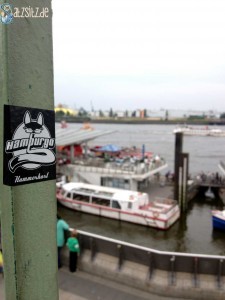 Hammerhart-Sticker der Beginner vor dem Hamburger Hafen