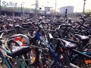 Angekettete Fahrräder am Mainzer Hautbahnhof, nur Lenker, so weit das Auge reicht